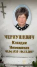 Захоронение ID 6357678
