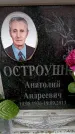 Захоронение ID 6357844