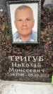 Захоронение ID 6357893