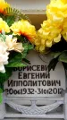 Захоронение ID 6357911