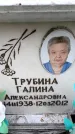 Захоронение ID 6357948