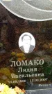 Захоронение ID 6358247