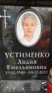 Захоронение ID 6358372