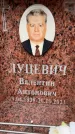 Захоронение ID 6358469