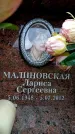 Захоронение ID 6358735