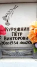 Захоронение ID 6358766