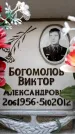 Захоронение ID 6358935