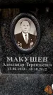 Захоронение ID 6358991