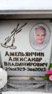 Захоронение ID 6358992