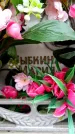 Захоронение ID 6358999