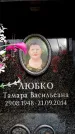 Захоронение ID 6359119