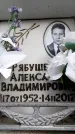 Захоронение ID 6359228