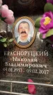 Захоронение ID 6359385