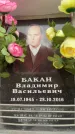Захоронение ID 6359501