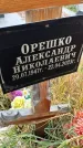 Захоронение ID 6359538