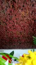 Захоронение ID 6359566