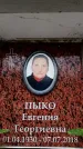 Захоронение ID 6359747