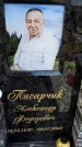 Захоронение ID 6359792