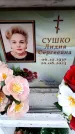 Захоронение ID 6359851