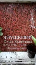 Захоронение ID 6359877