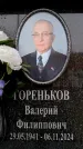 Захоронение ID 6360094