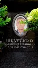 Захоронение ID 6360208