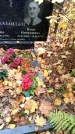 Захоронение ID 6360294