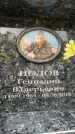 Захоронение ID 6360377