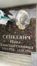 Захоронение ID 6360382