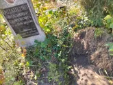 Захоронение ID 6352945