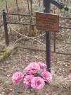 Захоронение ID 6354527