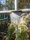 Захоронение ID 6358167