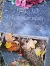 Захоронение ID 6358119