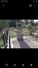 Новополесский старое кладбище в лесу