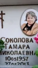 Захоронение ID 6360496