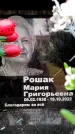 Захоронение ID 6360784