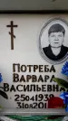 Захоронение ID 6360838