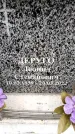 Захоронение ID 6360953