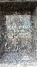 Захоронение ID 6361326
