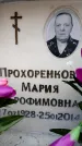 Захоронение ID 6361370