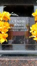 Захоронение ID 6361542