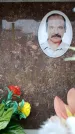 Захоронение ID 6361899
