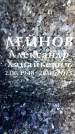 Захоронение ID 6362261