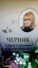 Захоронение ID 6362344