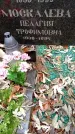 Захоронение ID 6362704
