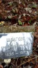Захоронение ID 6362707