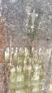 Захоронение ID 6362727