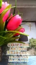 Захоронение ID 6363030
