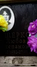 Захоронение ID 6363065