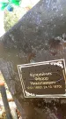 Захоронение ID 6363322